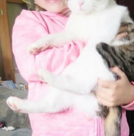 Bauernhof Trinkergut Unternberg