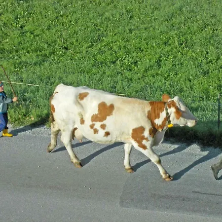 Bauernhof Trinkergut *