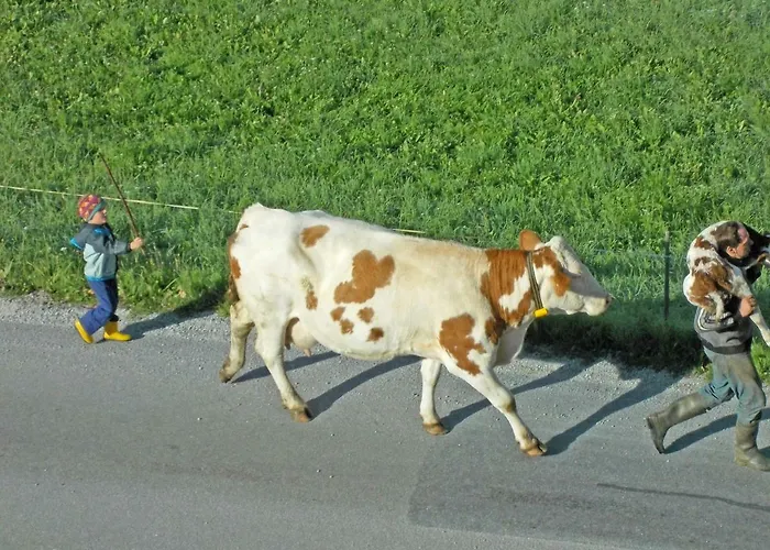 Bauernhof Trinkergut *